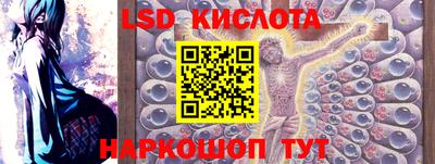 тгк Кингисепп