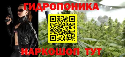 тгк Кингисепп