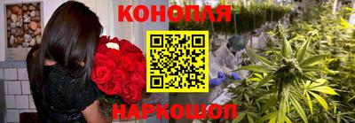 тгк Кингисепп