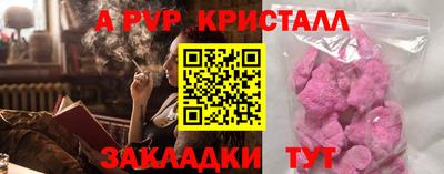 тгк Кингисепп