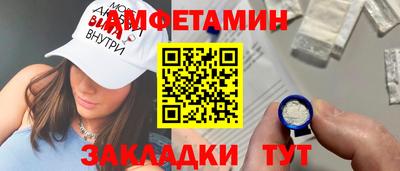тгк Кингисепп