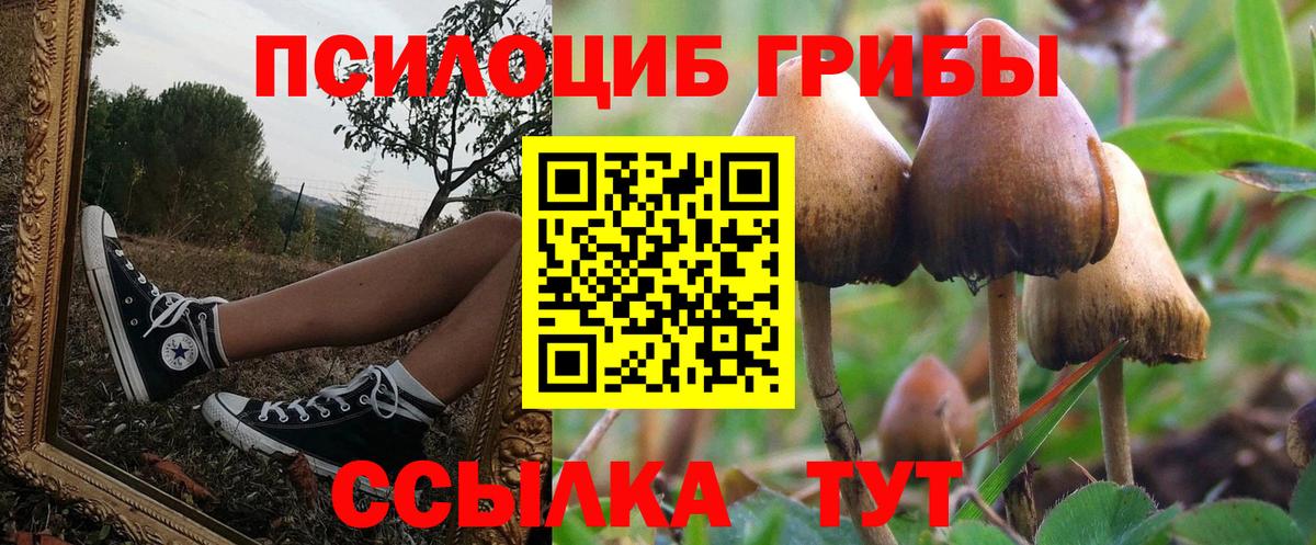 Галлюциногенные грибы Psilocybine cubensis Кубинка